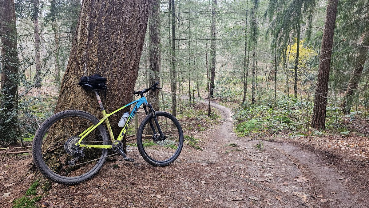 Eric Roeske tweet media