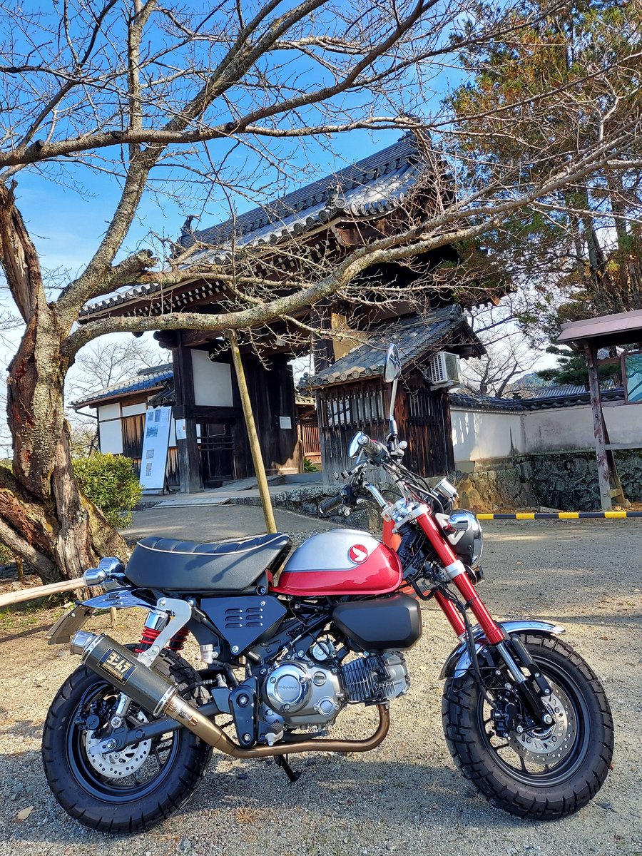 lenten_monkey's tweet photo. 聖徳太子生誕の地の橘寺に行ってきました。
平日で人もいなかったので、ゆっくり見れました。 https://t.co/R6xt3olOpg