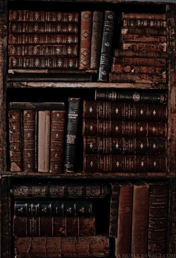 Latin: “Non scholae, sed vitae discimus.”

English: “We learn not for school, but for life.”

— Seneca