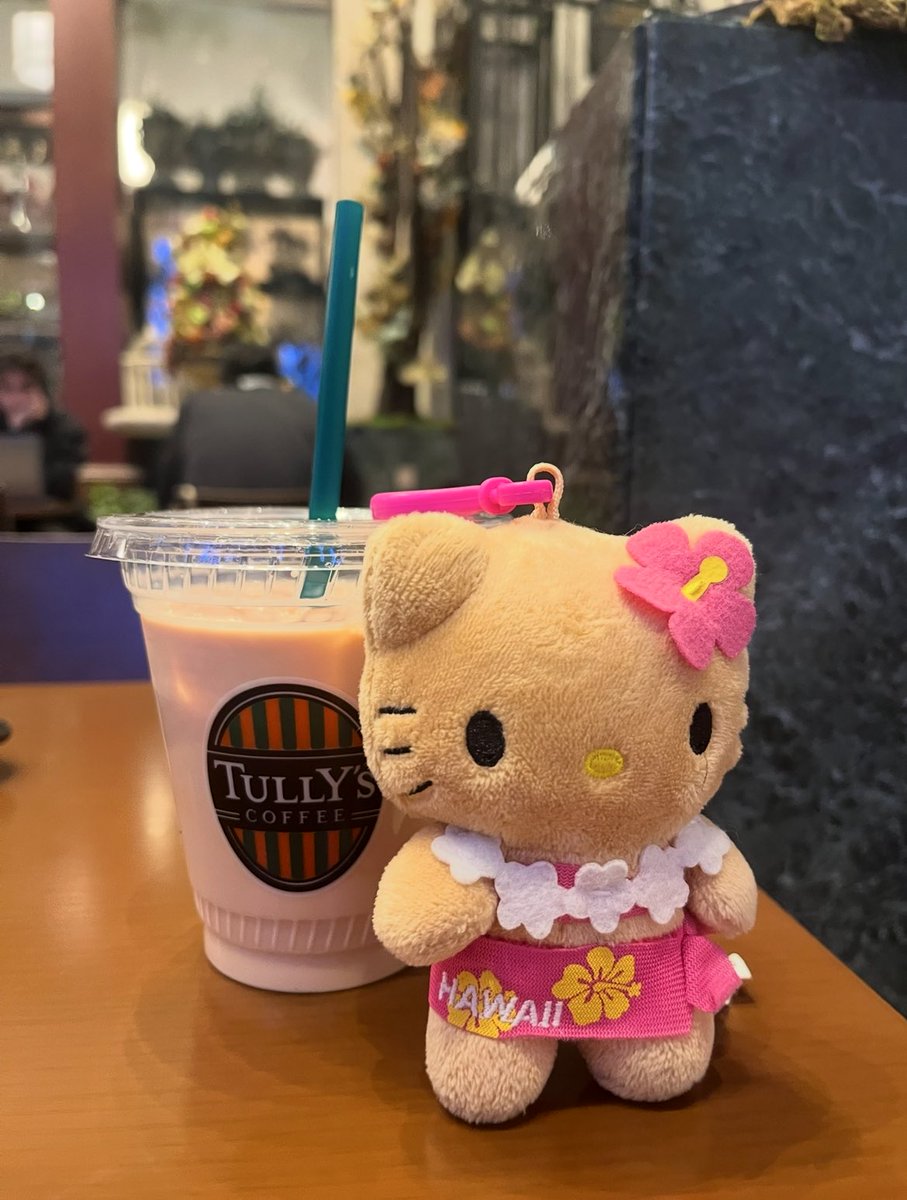 ハワイ限定の日焼けキティちゃん、娘が欲しいって言うから仕方なく買っ