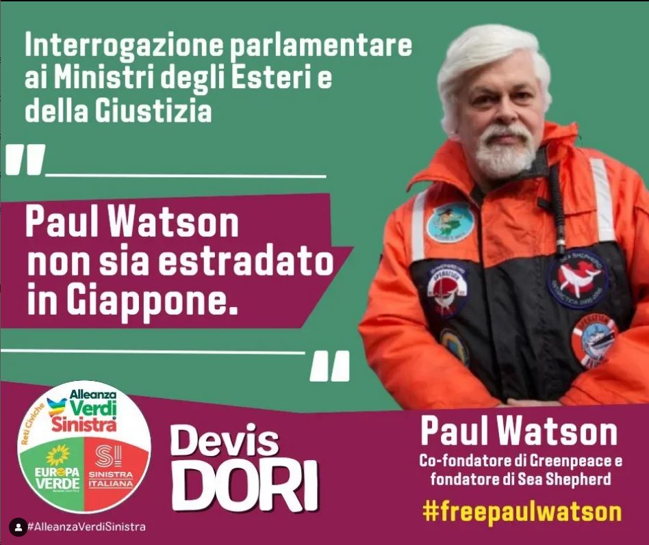 andaradagio's tweet photo. Ringrazio @DevisDori per la sua interrogazione parlamentare a proposito della detenzione di #PaulWatson. Nessuna risposta ovviamente. 👎 La #Danimarca non si renda complice del #Giappone e fermi il massacro dei delfini. #stopgrind #FreePaulWatson @PHummelgaard #Denmark https://t.co/Ra3TORP0kJ