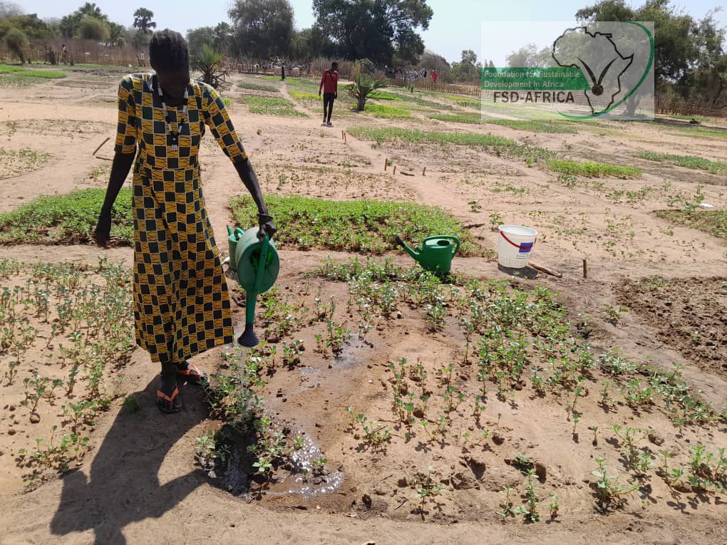 Fsd_Africa's tweet photo. A routine visit to Anger-nger community group while delivering their #VSLA kit, and support left us teary eyed with their remarkable progress. True progress via @NorwayinSSudan @mafs_ss and @FAOSouthSudan #BRLTC #SouthSudan https://t.co/IATVNznmH3