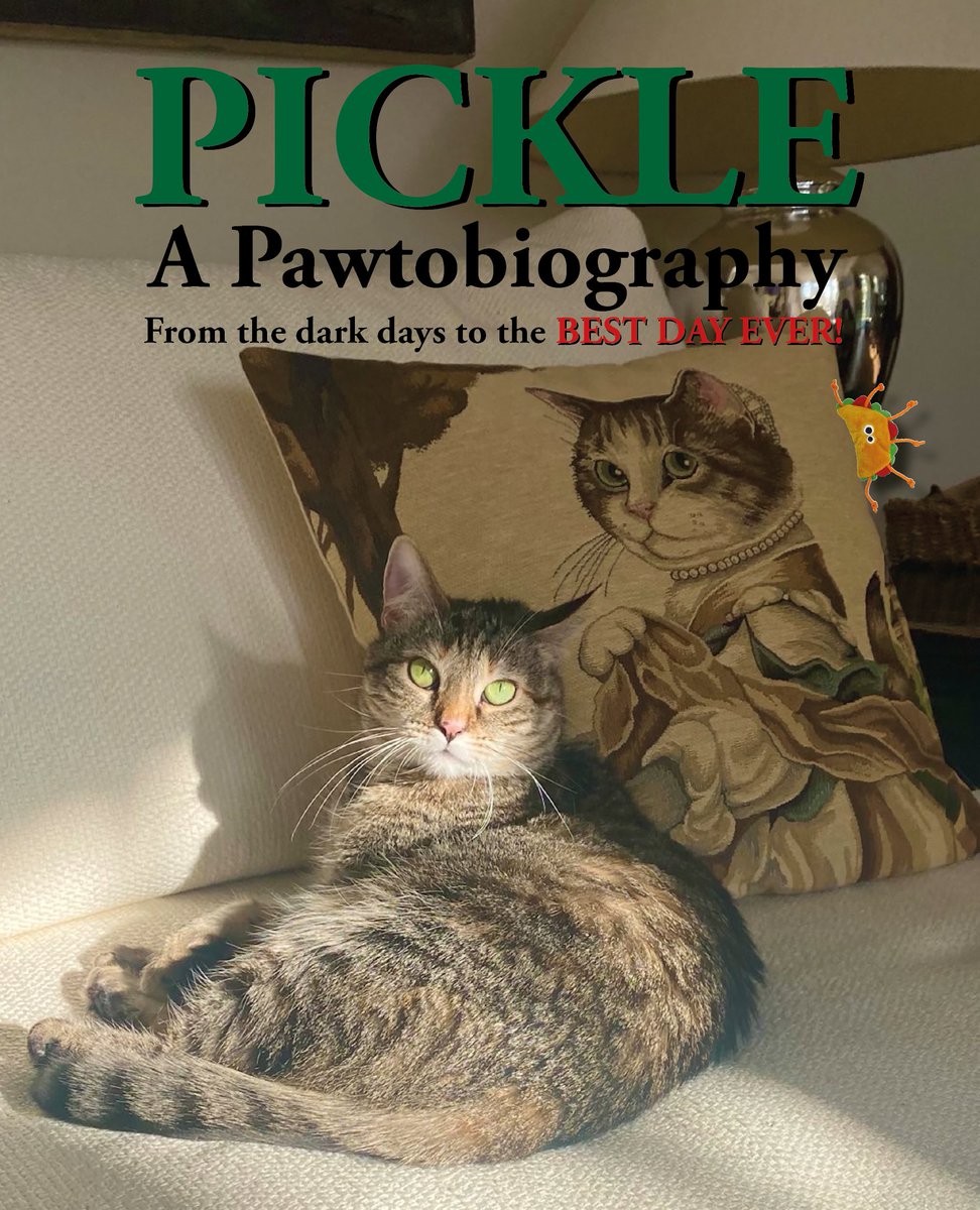 GonzotheCat1's tweet photo. I'm going to try to help sad cats and dogs this Christmas! π§‘πΊπΆπ If anyone would like to buy a @PickliciousF book or two from Amazon as a Christmas present, the money goes straight to @FelineFriendsUK & @AllDogsMatter π§‘πΊπΆπ#PicklePawtobiography #PickleDiary https://t.co/8jnlHlbM7t