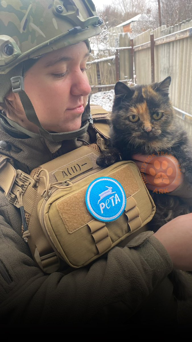 AnimalRescueKh's tweet image. Yesterday, we managed to evacuate 19 animals from Left bank of #Kupiansk 
(much closer to the frontline)

The #cat on the photo has wandered to a man with 3 more #animals during the shelling. He took care of them, until he has d1ed ❤️‍🩹

PayPal: animaladoption.ua@gmx.de

#war #ark