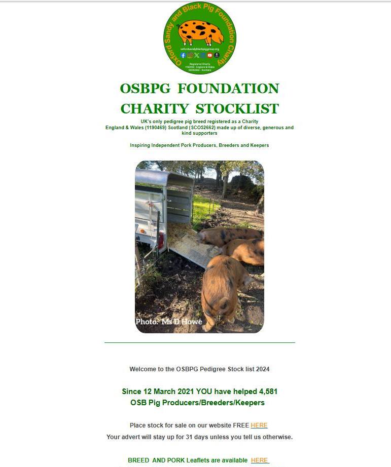 Good tidings we bring to you and your kin
It’s the #OSBPG Stocklist to bring you cheer and grin.
With pigs of fine pedigree robust and true
A perfect addition for farms perhaps even for you
From boars to gilts their future shines bright
Ready to thrive and bring joy day and night