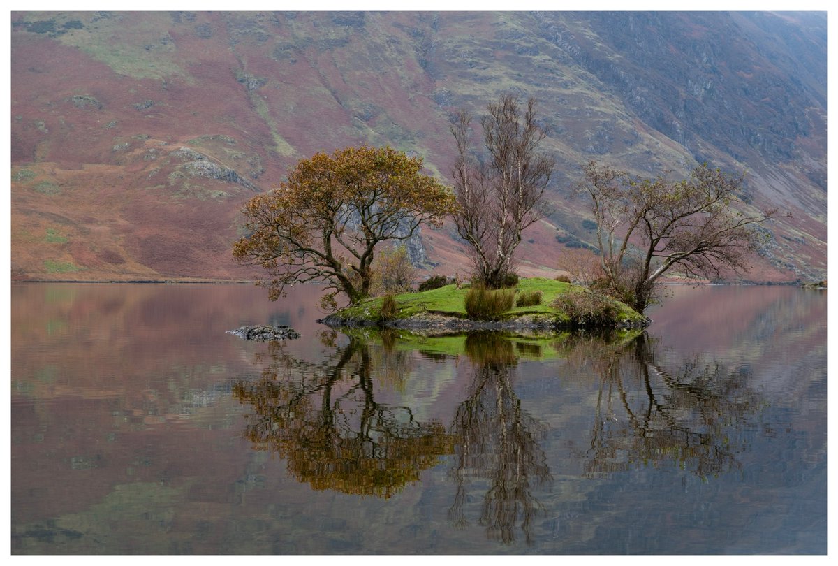 TimScott1969's tweet image. Gorgeous little island at Crummock water, #LakeDistrict