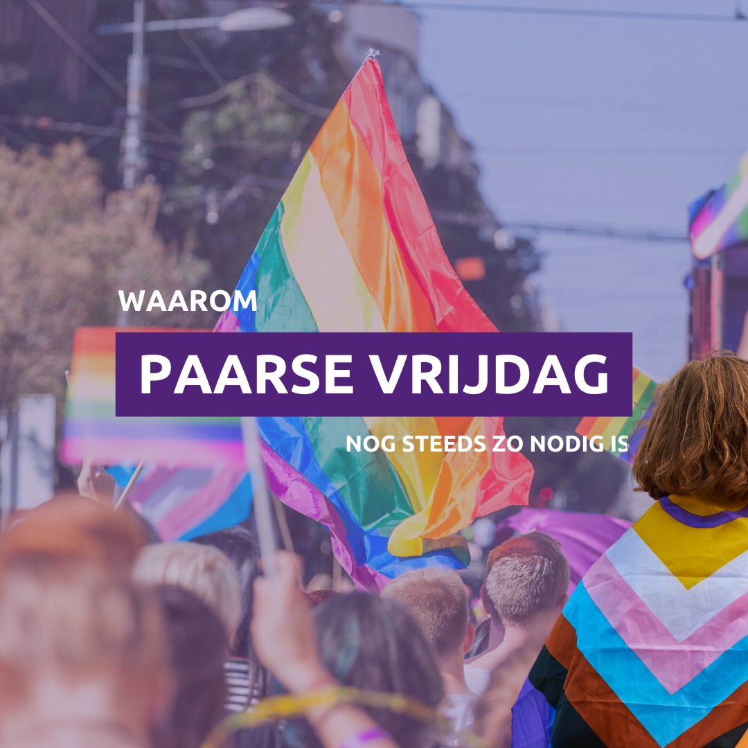 VoltRotterdam tweet media