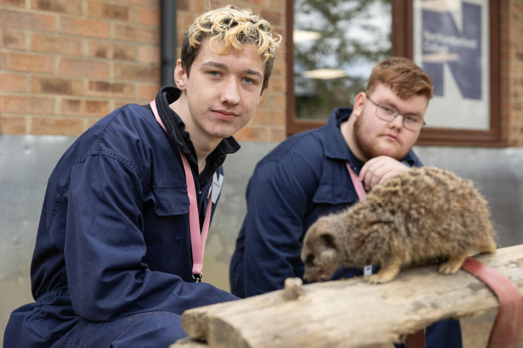 You could be set to undertake a placement abroad in Cyprus, Portugal or Albania by securing funding via the <a href="/TuringScheme_UK/">Turing Scheme UK</a> to offer three-week placements for students studying  Animal Management, Equine, Agriculture or Veterinary Nursing!
 
Read more ➡️ orlo.uk/YKeSp
