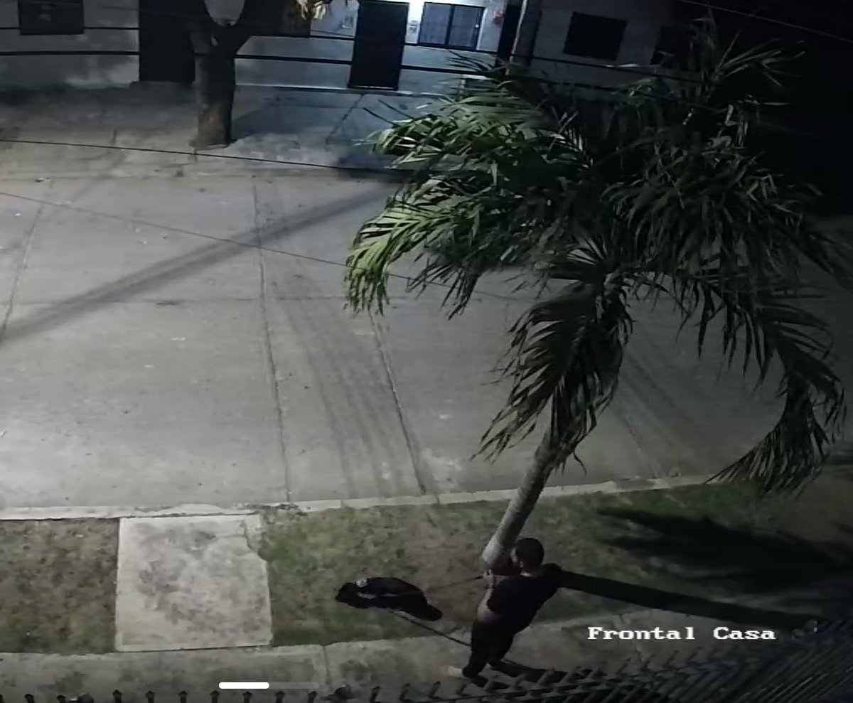 El Código Nacional de Policía y Convivencia establece, en estos casos, una multa de 173 mil 733 pesos. 
Ahora, esperar a ver si esto funciona. Porque sea yo el que atente contra el animal paso a ser el malhechor.
"Pero qué culpa tiene el perro", dirían algunos. ¿Que harías tú?