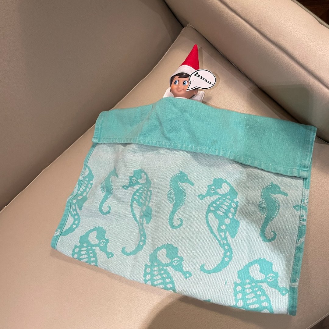 Buddy the Elf is pretending to catch some Z’s in the lobby, but those wide-open eyes tell a different story! 😴👀 Looks like someone is trying to avoid work today. Nice try Buddy! #ElfOnTheShelf #VannAttorneys