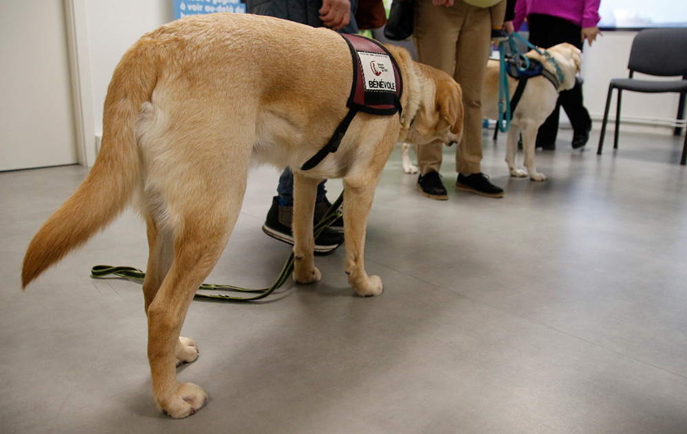 CAP EMPLOI 57 tweet media