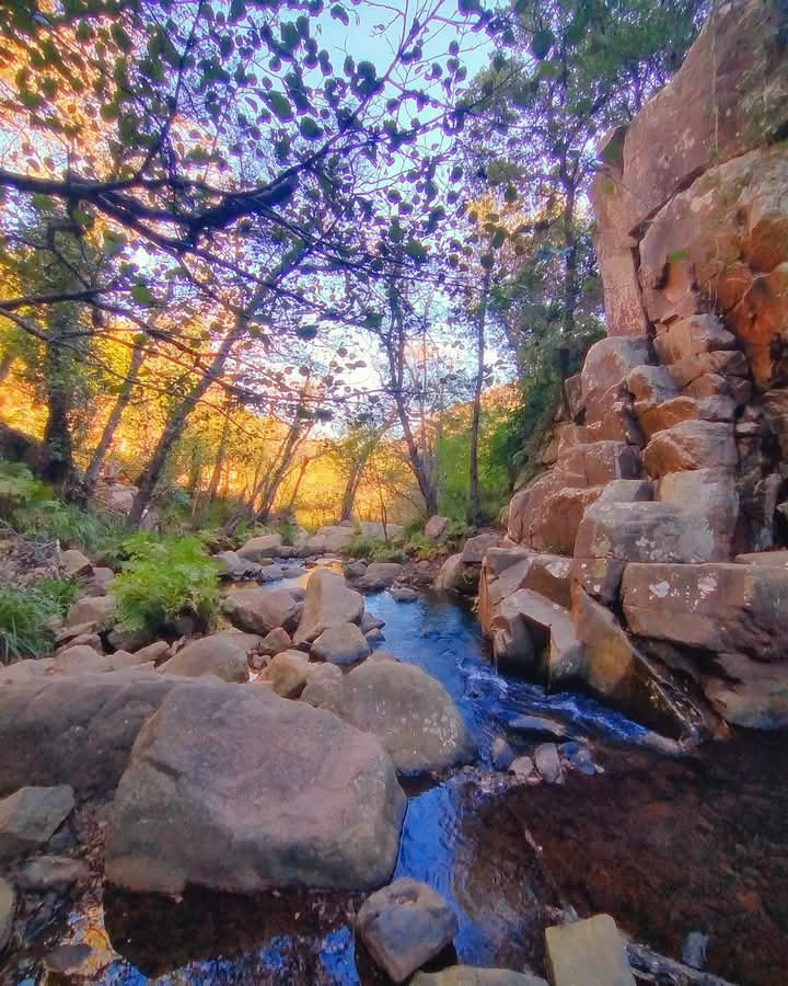 Elisa_G_Coines's tweet photo. Y por fin llega lo que esperabas .... a veces, incluso más.
#naturaleza #paisaje #naturalovers #tierrapix
#explorar #naturalezagrama #faunasilvestre #excursionismo #montañas #bosque #travelphotography
#naturalezainstantánea #destinoshermosos #naturaleza_brillantez #Autumn #good https://t.co/2ClaMBr43f