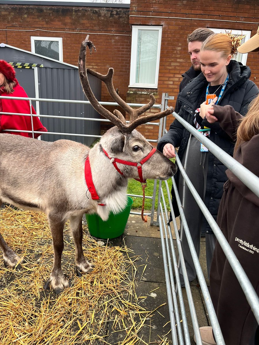 Hazel_Ward1's tweet photo. What a wonderful day we had yesterday! Thankyou to everyone that came to say hello to these magical creatures and to everyone that made the day such a success! https://t.co/KyHRrPErEF