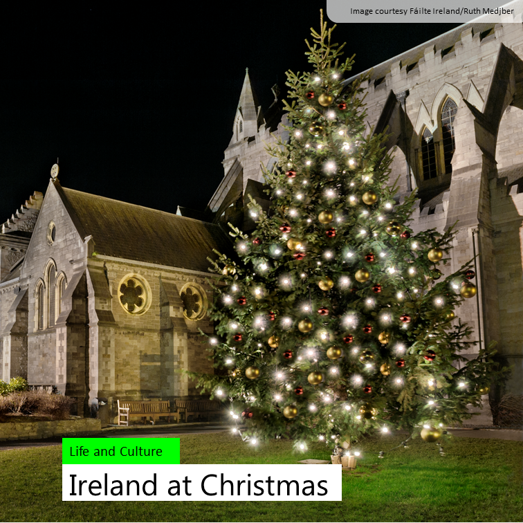 IrishEmbVilnius's tweet photo. #Christmas in Ireland celebrates the old and the new!

An Irish Christmas incorporates timeless traditions such as midnight mass &amp;  other modern rituals like the Christmas Day sea swim  🇮🇪 🎄🌟

Discover Ireland➡️ https://t.co/DaELjH6Ed5

#DestinationIreland #AmazingIreland https://t.co/1FDRSl686h