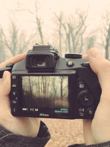 edith ♡ pepsi max bae tweet media