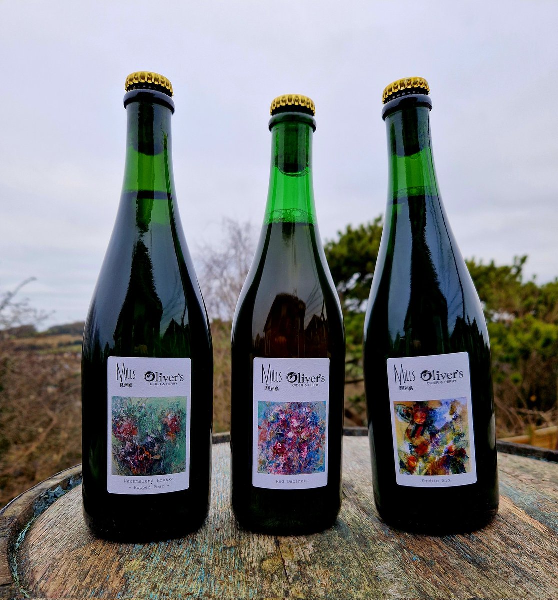 MillsBrewing's tweet photo. A trio of @tomoliverscider hybrid co-fermentation creations.

Now On-Sale at https://t.co/7eRA2Z1iFQ 

Our final release of 2024. https://t.co/aJZWxb724O