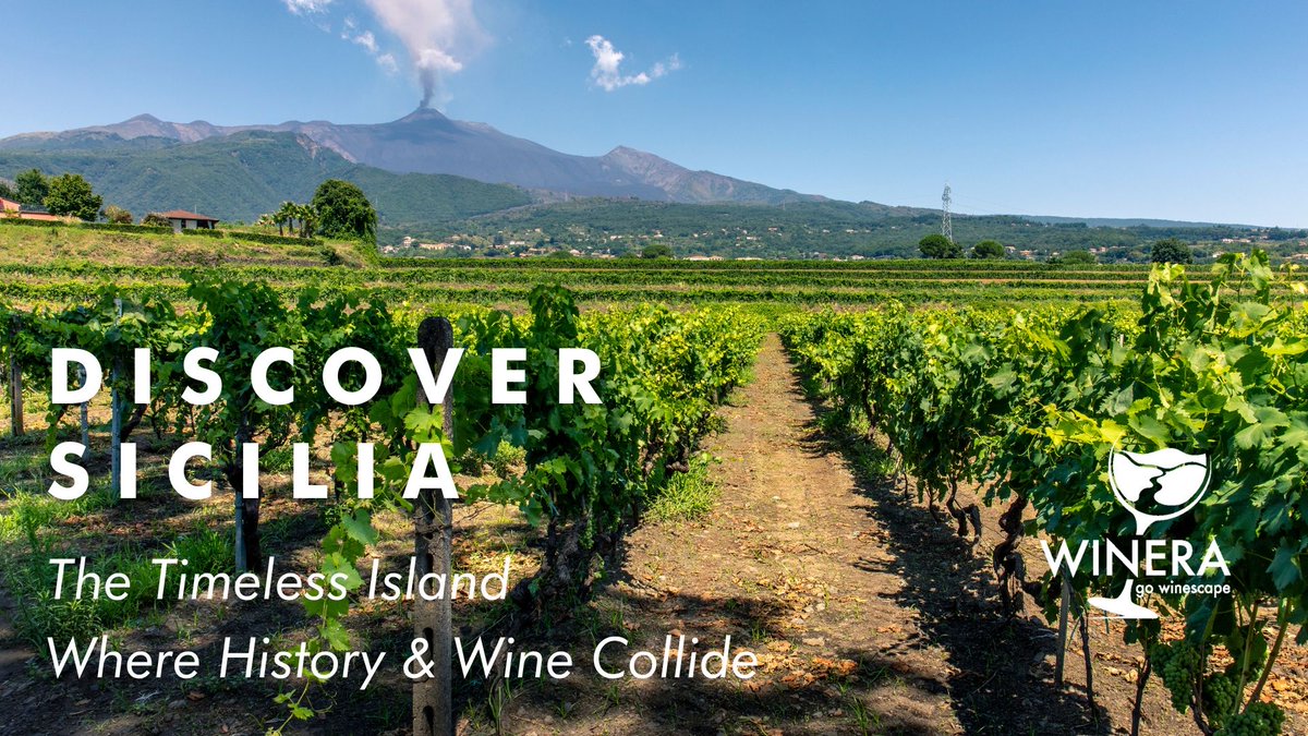 FishmongerSRB's tweet photo. Discover Sicilia: The Timeless Island Where History &amp; Wine Collide 🍾🥂🍷❤️
Read more: https://t.co/kFn8lKnHCz
#Winera #Travellier #wine #SicilianWine #WineTourism #MountEtnaWines #NeroDAvola #SicilyWineries #MarsalaWine #winelover #SicilianHeritage #Italia #Italy #WineraApp https://t.co/biVvnrpyJu