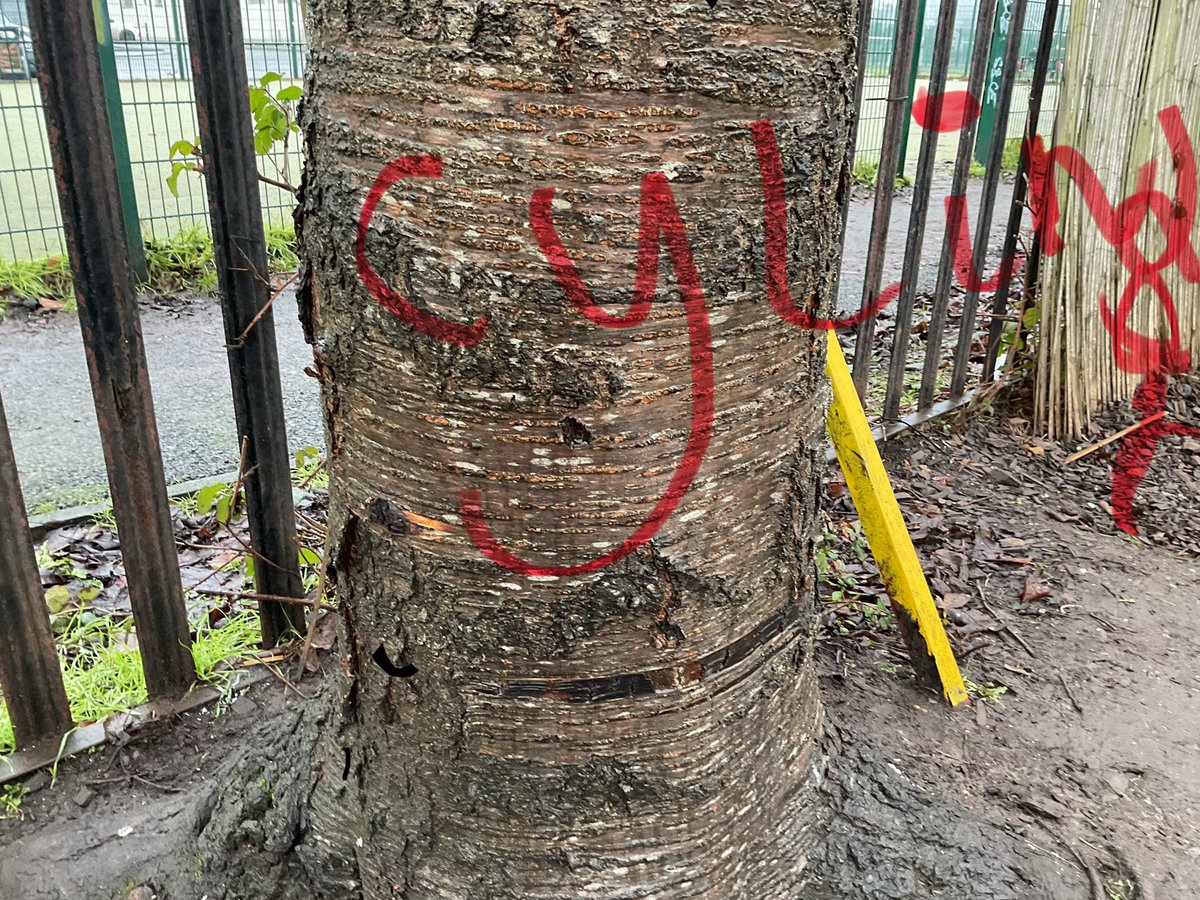 🔍 Did you know we have lots of 3D shapes in our playground? 🔍 Primary 3 were learning to use the iPads to take pictures of the objects and then edit them to add text! #SJOOutdoors