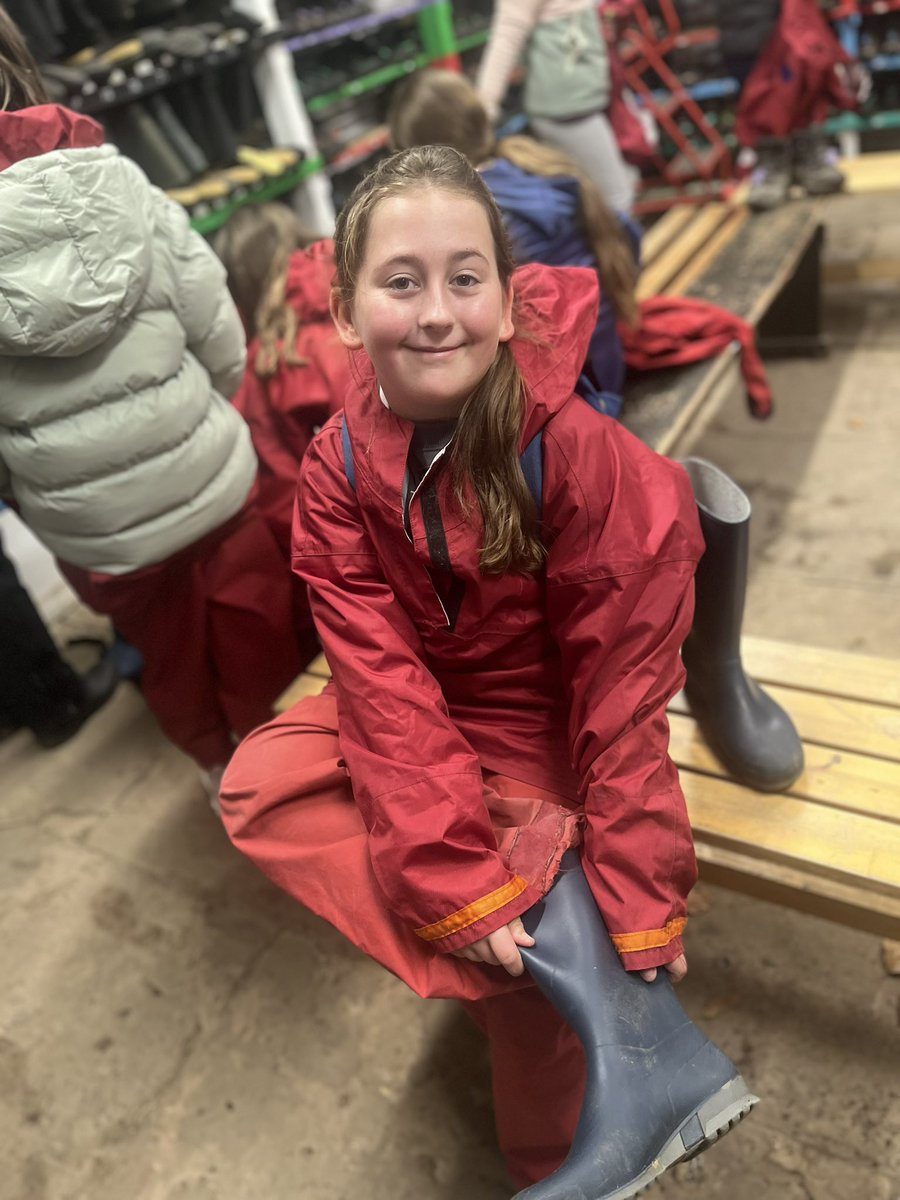 St Mary's Primary School tweet media