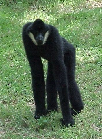 Ayer fue la fiesta de <a href="/atresmediacom/">Atresmedia Comunicación</a>