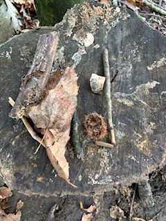 NectonFS's tweet image. Our reflection and gratitude for nature is a key part of the Forest School ethos. @NectonY2  g1 finished off their circle time by placing an item from the forest on a stump, giving thanks by saying one thing they love about being in our site.