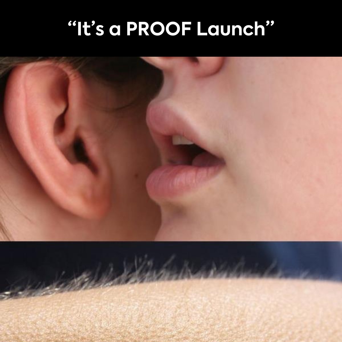 PROOFplatform's tweet photo. PROOF launches just hit different https://t.co/loE7TPBwP2
