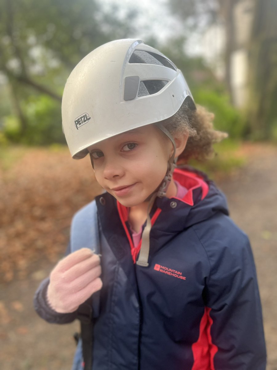 St Mary's Primary School tweet media