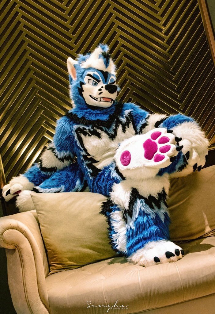 Bluee 🦋 social (@blusicurl) on Twitter photo Look at him! 🫣🐾
.
.
.
.
But more importantly!
Cherish the people and friends that have cared and have looked out for you.
There can never be enough love in this world~ 💙
#Fursuitfriday
🧵:<a href="/kigurumikagetsu/">きぐるみ花月/Kigurumi Kagetsu</a> Look at him! 🫣🐾
.
.
.
.
But more importantly!
Cherish the people and friends that have cared and have looked out for you.
There can never be enough love in this world~ 💙
#Fursuitfriday
🧵:<a href="/kigurumikagetsu/">きぐるみ花月/Kigurumi Kagetsu</a>