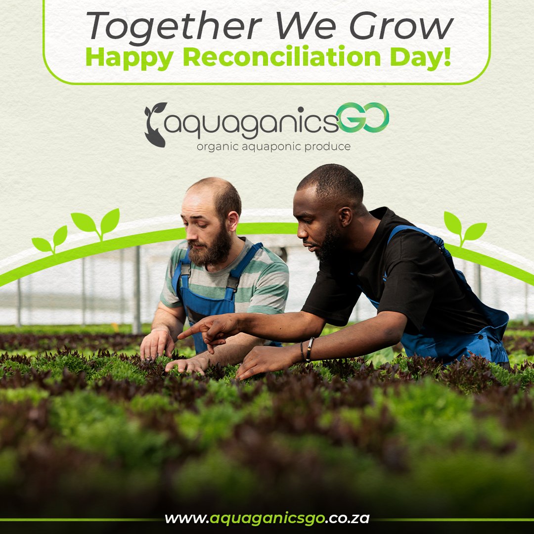 AquaganicsGo's tweet photo. At AquaganicsGo, we believe in the power of unity—both in our community and in the way we farm. By nurturing the land sustainably, we’re cultivating not just fresh produce, but also a shared future built on togetherness. 

🔗 https://t.co/BZGS8bJqO0 https://t.co/HaSyD4iobA