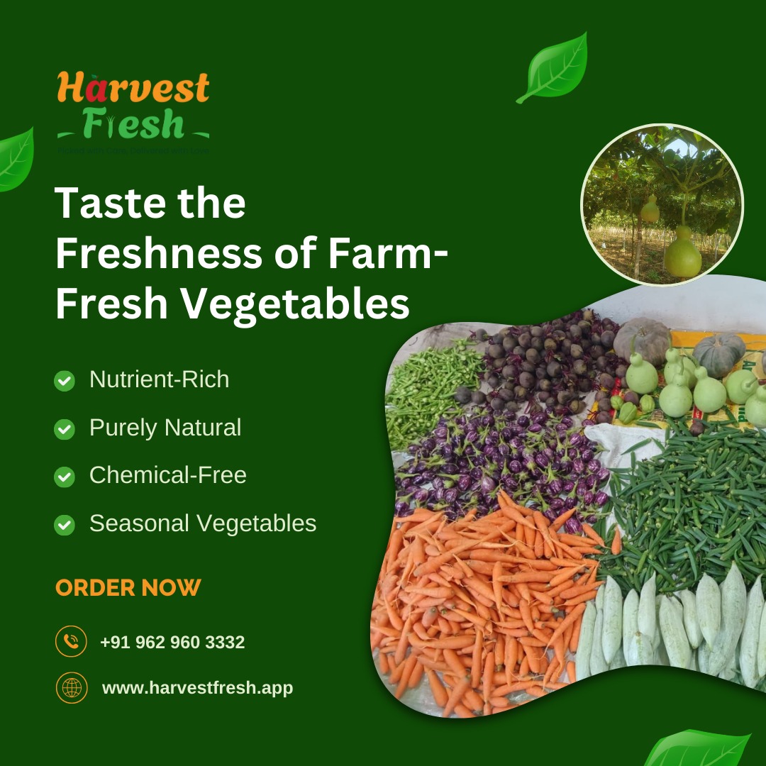 HarvestFresh2dg's tweet photo. Support local farmers and eat clean. 🤝 #SupportLocal #OrganicFarming #HarvestFresh https://t.co/HvnG8DL4Sl