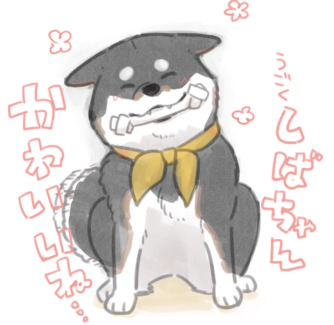 しばちゃん💯💯💯 