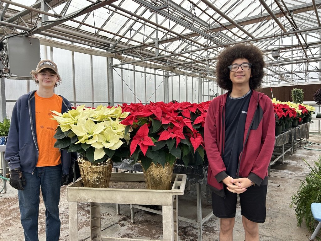 Brevard High School (@brevardhs) on Twitter photo Support Brevard High School FFA! Our Horticulture students have been hard at work growing beautiful poinsettias as part of their coursework. Now, you can take home one of these stunning plants for just $20! Contact Dan Harris at dharris@tcsnc.org for info. Support Brevard High School FFA! Our Horticulture students have been hard at work growing beautiful poinsettias as part of their coursework. Now, you can take home one of these stunning plants for just $20! Contact Dan Harris at dharris@tcsnc.org for info.