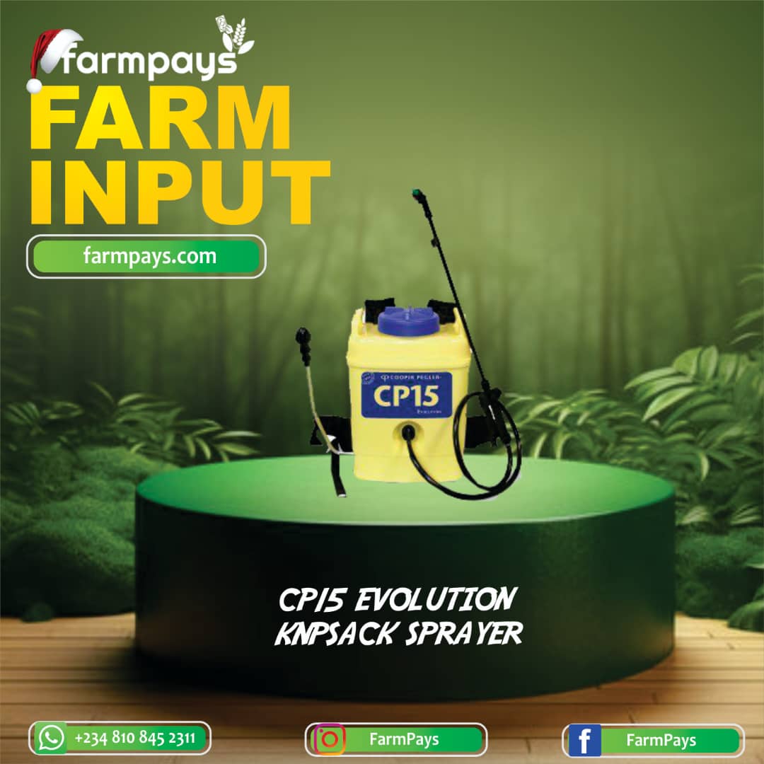 Farmpays1's tweet photo. 🌱 Quality inputs are essential for a successful harvest!

Get the best farm inputs from us to ensure your crops thrive.

Let’s cultivate success together! 🌾
#farmpays #farmwithease https://t.co/u7poiwkQeS