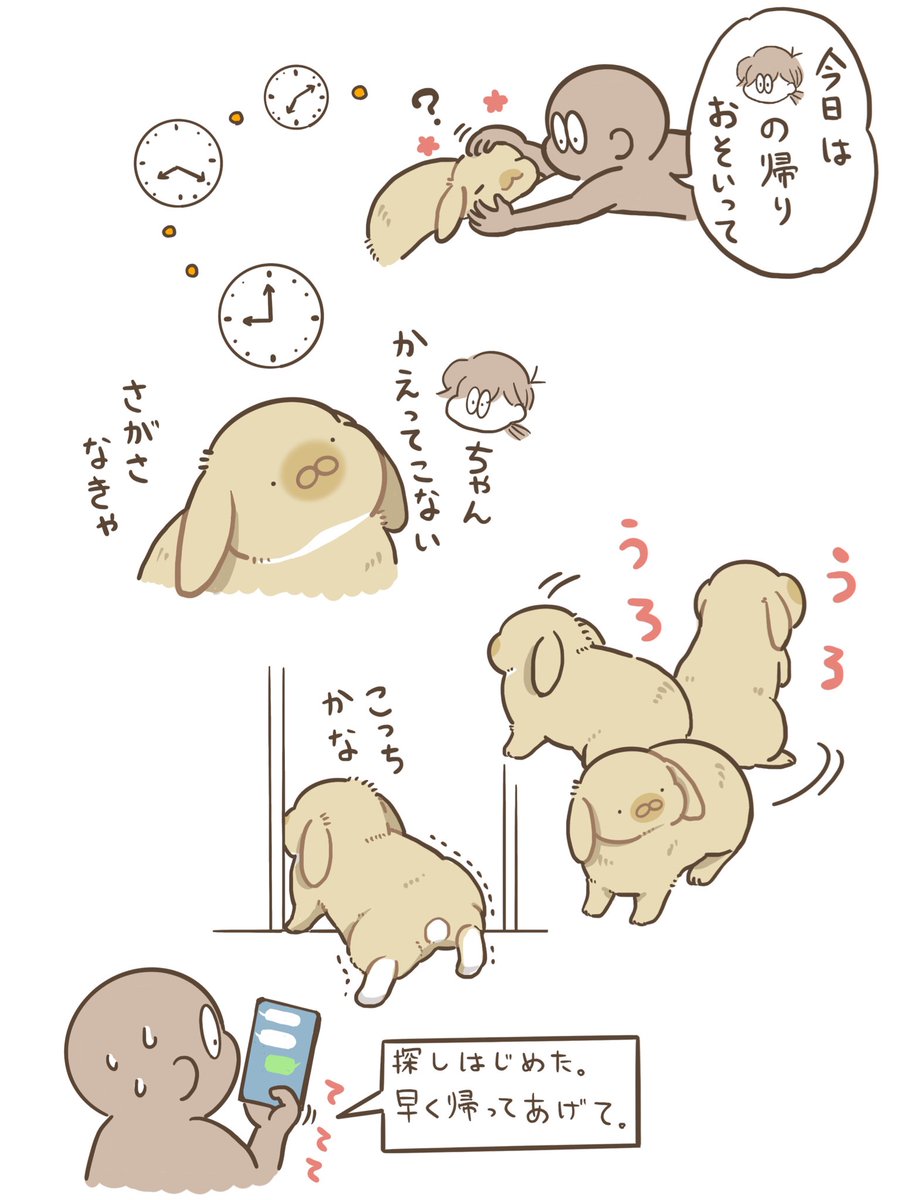 niihao_'s tweet photo. うさぎは寂しくても死なないけど、いつもより帰宅が遅いと探してくれるし寂しがる。 https://t.co/4AuEhjaLFQ