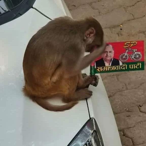 बहुत ही खूबसूरत तस्वीर है। 
सच में लाजवाब और आकर्षक! 🙏