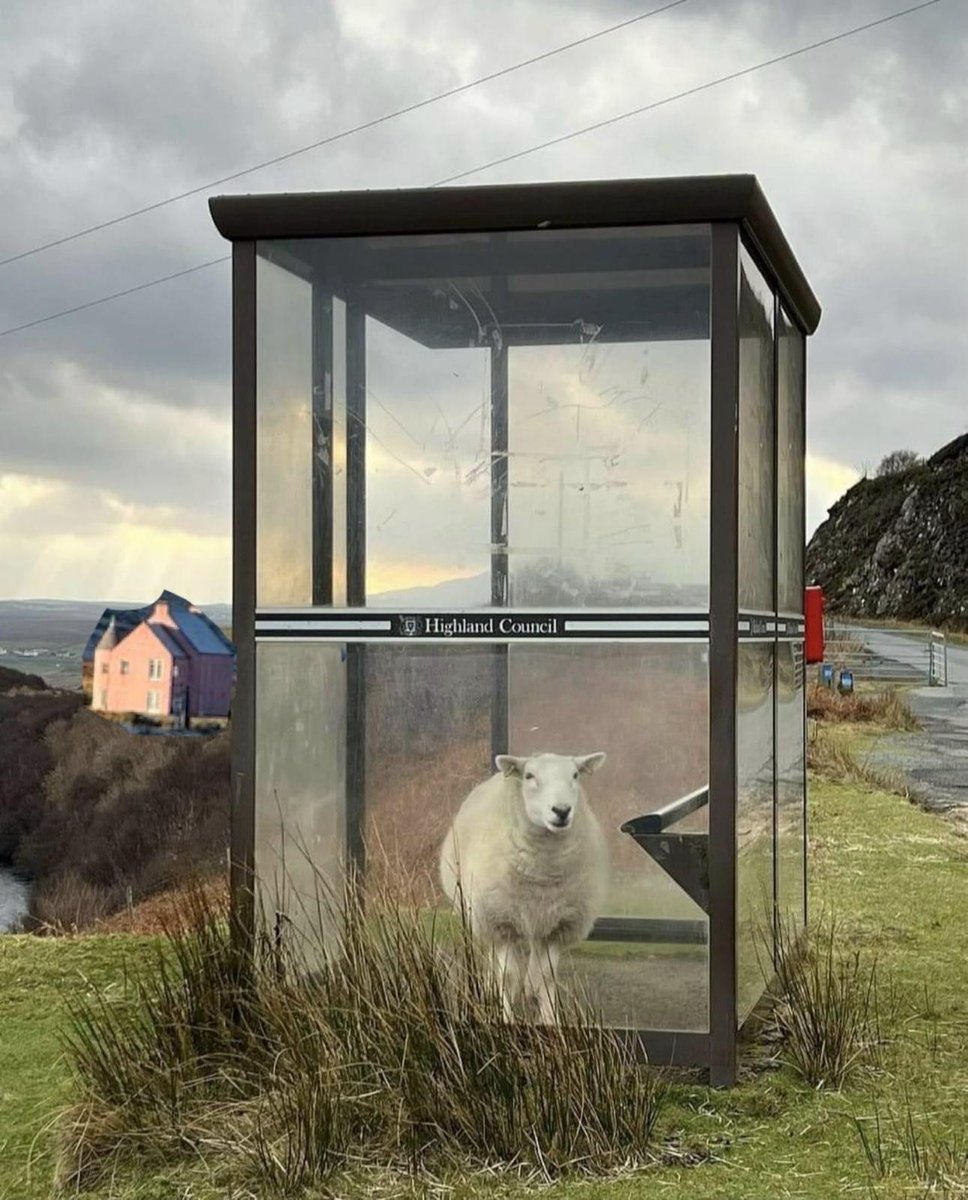 A deadline busting late prompt for our sub call? 
trashcatlit.com/trash-cat-outt…