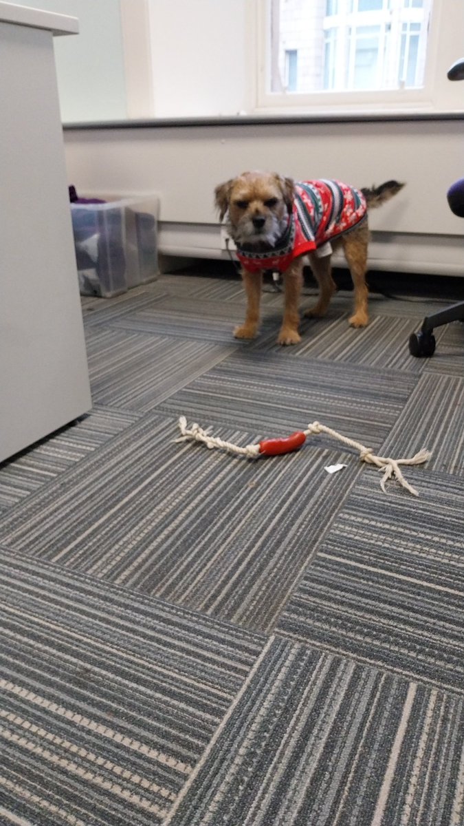 Cheryle McIlroy tweet media