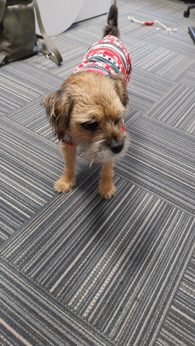 Cheryle McIlroy tweet media