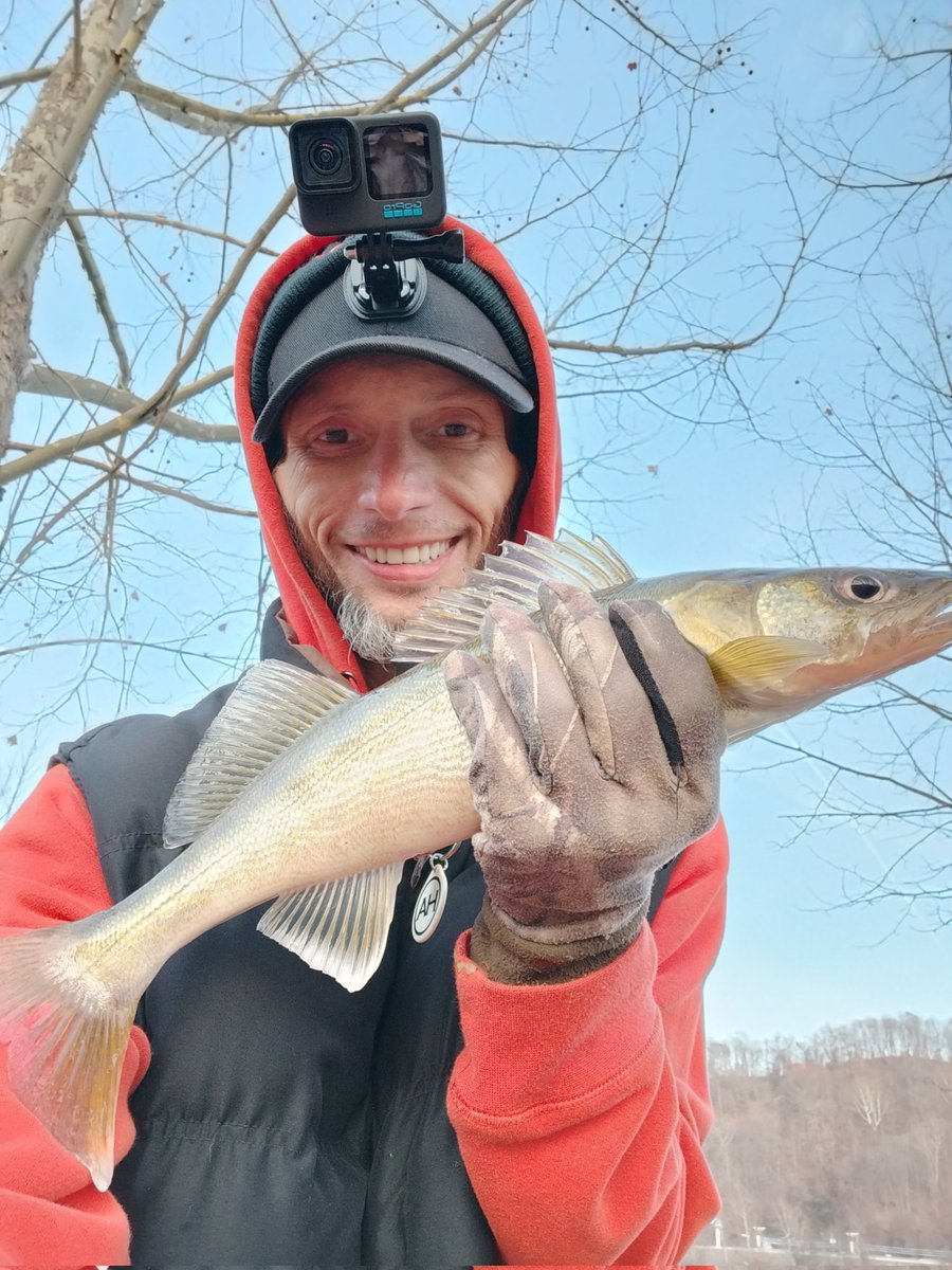 GuywithaGoProFS's tweet photo. My #dash says 26 degrees, my rod #guides are #freezing up,but this #walleye got made #famous on her 2nd #attempt on my @YUMbait companies 3" #singletail #grub in #black & #silver flake.@EagleClawFish black #jighead. #bundle #up #catch #fish https://t.co/07Foo6PCJW