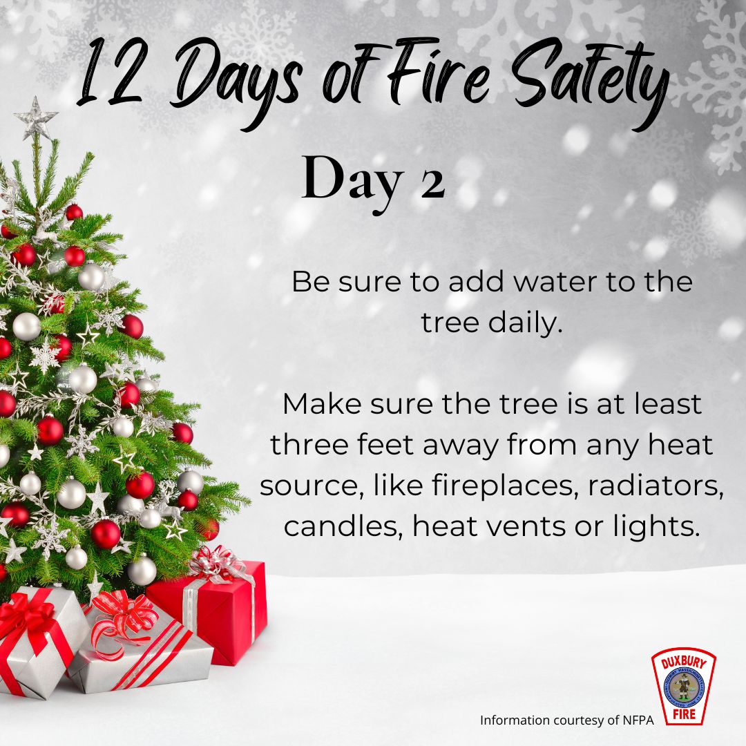 DXFD_PIO's tweet photo. Day 2: Keep your Christmas tree watered daily this holiday season to help prevent fires.
#DXFD #12daysoffiresafety #christmastree #nfpa https://t.co/XAMxdlwPwQ