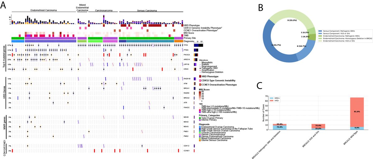 Weill Cornell Medicine Pathology (@wcmcpathology) on Twitter photo Just published: "Enhancing the Detection of Clinically Relevant #Biomarkers in Advanced Uterine and Tubo-Ovarian Carcinomas Through Genome-Wide Analysis," by <a href="/WCMCPathology/">Weill Cornell Medicine Pathology</a>'s <a href="/MajdAssaad/">Majd Al Assaad, MD</a>, Drs. Baris Boyraz, Juan Miguel Mosquera, <a href="/isabl_io/">Isabl Inc.</a> <a href="/WCMEnglanderIPM/">WCM Englander Institute for Precision Medicine</a>
authors.elsevier.com/sd/article/S03… Just published: "Enhancing the Detection of Clinically Relevant #Biomarkers in Advanced Uterine and Tubo-Ovarian Carcinomas Through Genome-Wide Analysis," by <a href="/WCMCPathology/">Weill Cornell Medicine Pathology</a>'s <a href="/MajdAssaad/">Majd Al Assaad, MD</a>, Drs. Baris Boyraz, Juan Miguel Mosquera, <a href="/isabl_io/">Isabl Inc.</a> <a href="/WCMEnglanderIPM/">WCM Englander Institute for Precision Medicine</a>
authors.elsevier.com/sd/article/S03…