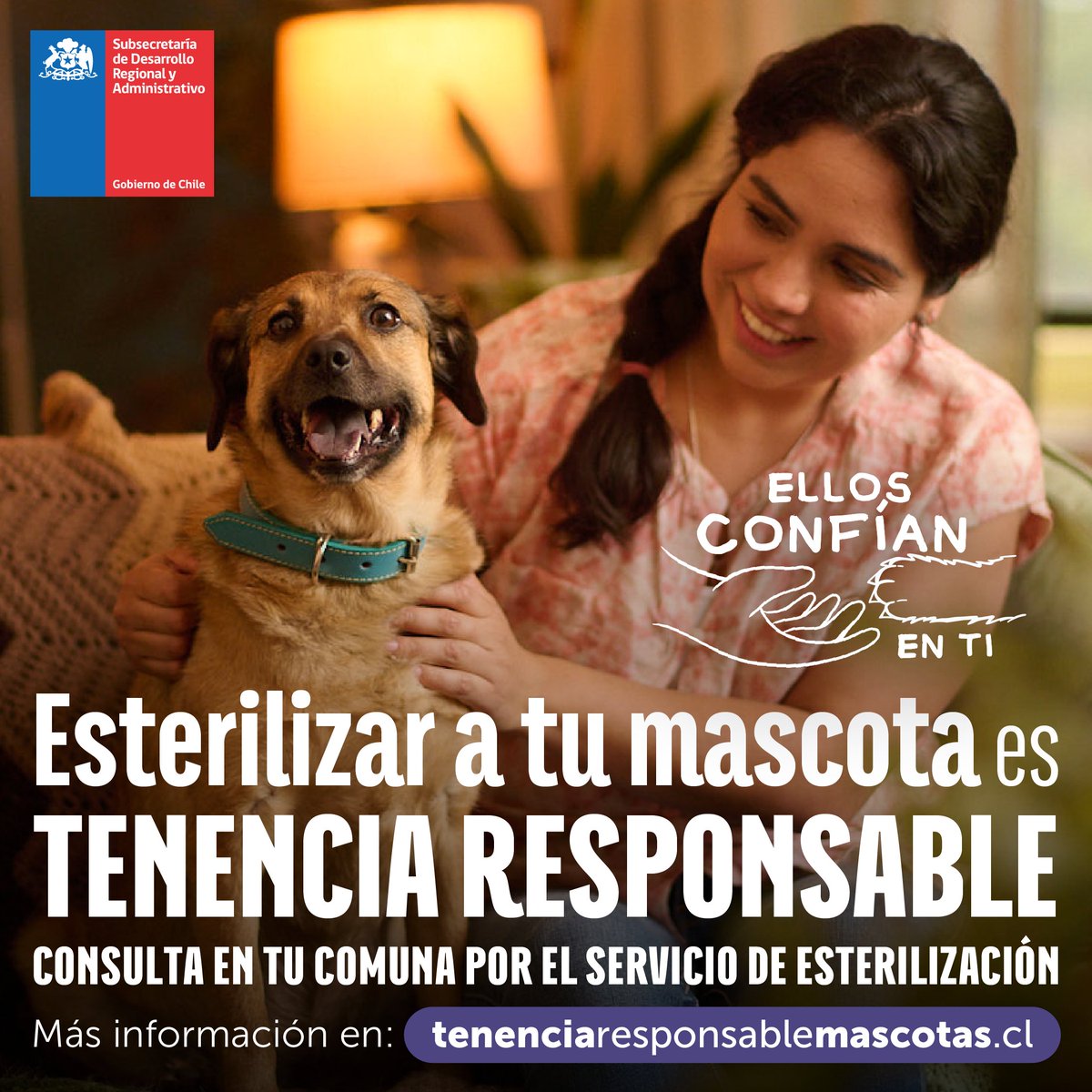 MascotaGob's tweet photo. La esterilización de tu mascota es una tenencia responsable, ya que genera múltiples beneficios para su salud, su calidad de vida y para toda nuestra sociedad🐕🩺🐈 . 

👉Conoce más en: https://t.co/L6MFgg5WjC 🐾 https://t.co/NMTVygfTZw
