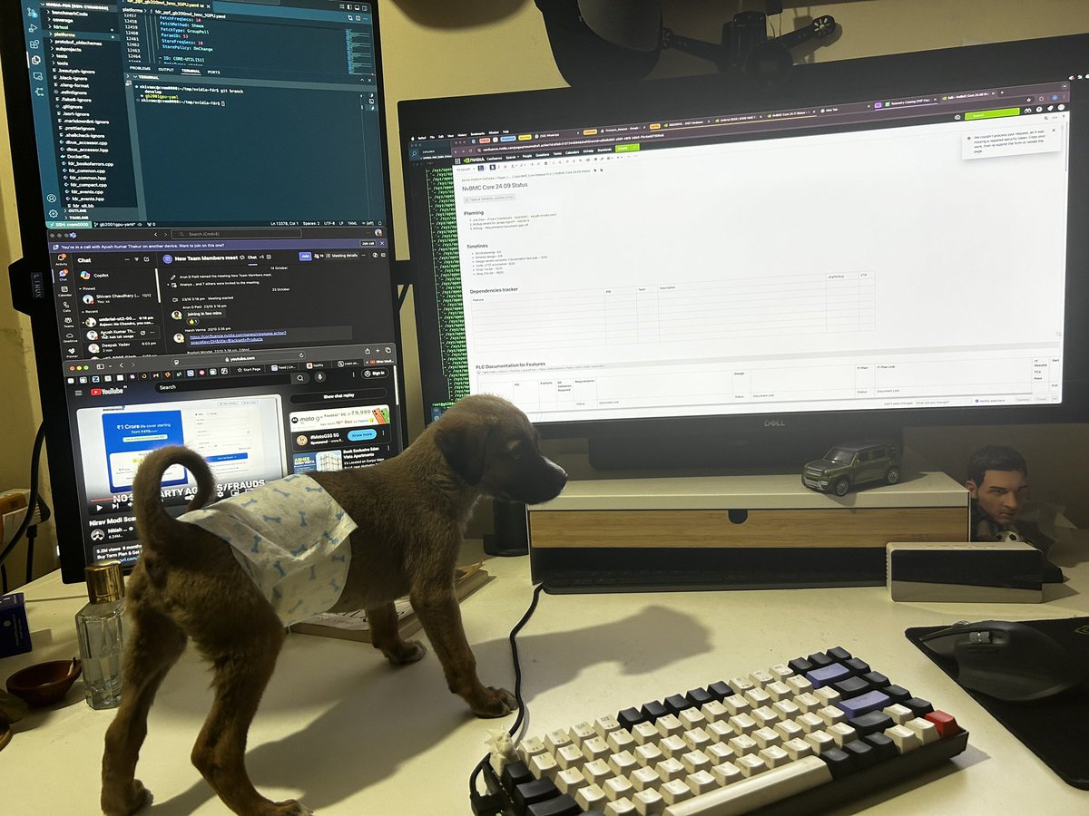 I’m Duggu (he/him)
I’m good at keeping humans mental health healthy. 
Looking for a full time role in a sweet family. 

Please adopt me 🫰🏻
#Bangalore