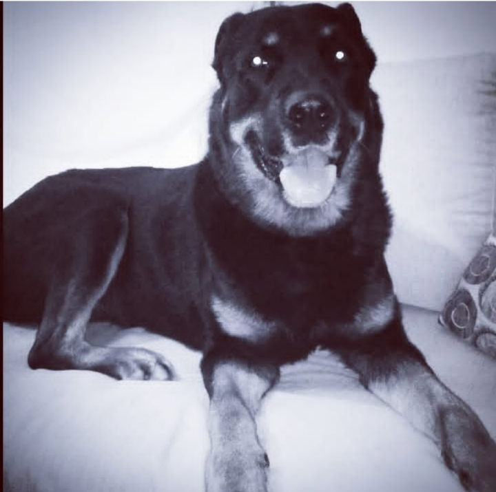 Sofia Kazantzian tweet media