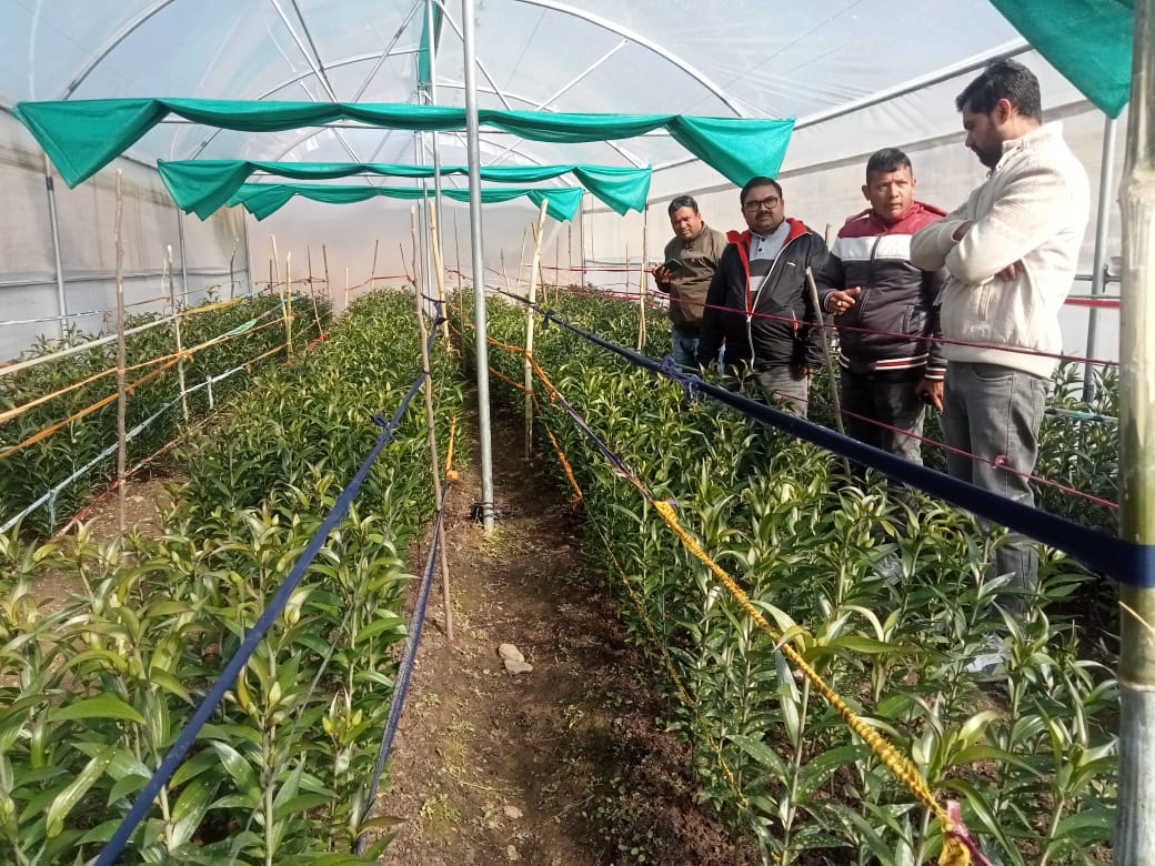 KotRduk's tweet photo. Today at kot block # mr shubham pandey sir from IRMA# ashutosh kaushik sirfrom DPMU# visited mushroom growth centre # and lilium production in poly houses. All reap block and clf staff was present during the program. https://t.co/nxBMHvUWTU