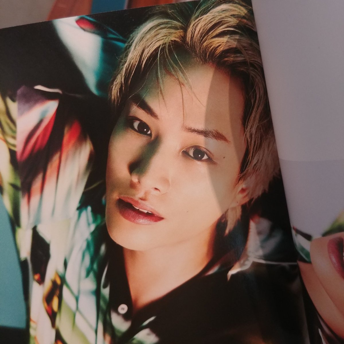 Nobu__B's tweet photo. 도랏 개예쁨 https://t.co/Qg5lCiK5Yc