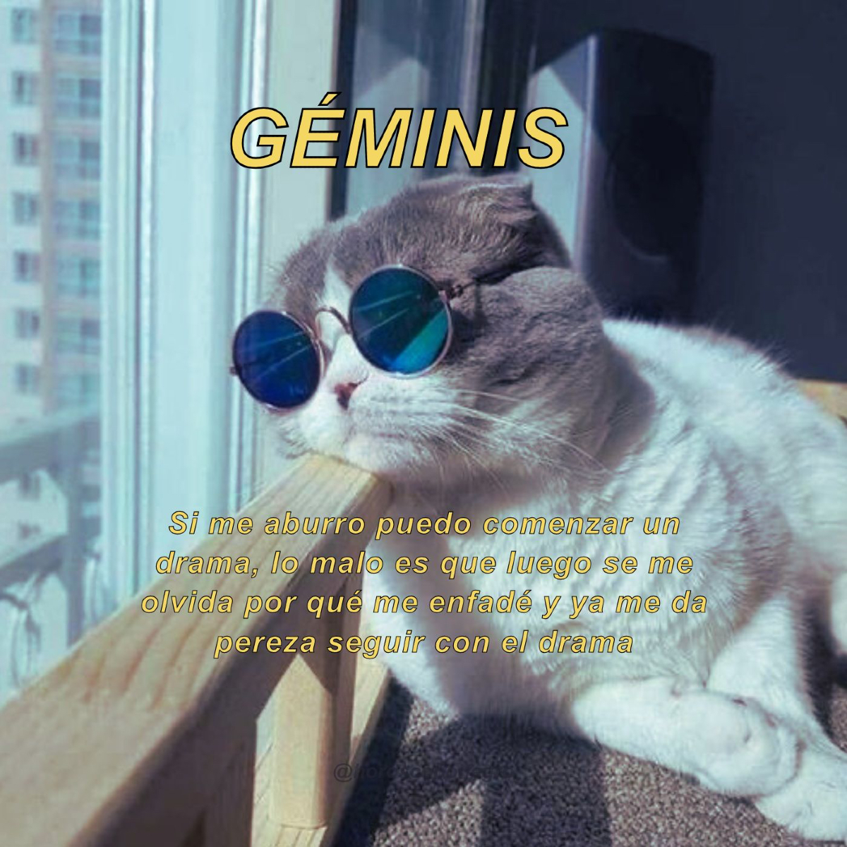 geminis_hn's tweet photo. Opinamos pero no juzgamos 🤣 https://t.co/0osupbFjKm