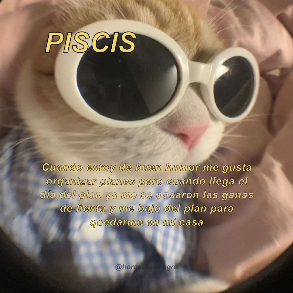 Opinamos pero no juzgamos 🤣