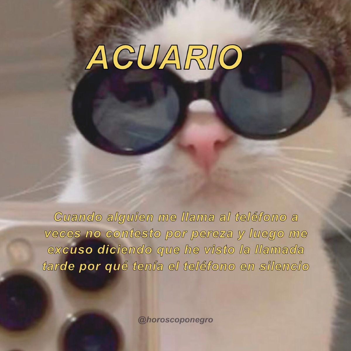 acuario_hn's tweet photo. Opinamos pero no juzgamos 🤣 https://t.co/sSUT0MualF