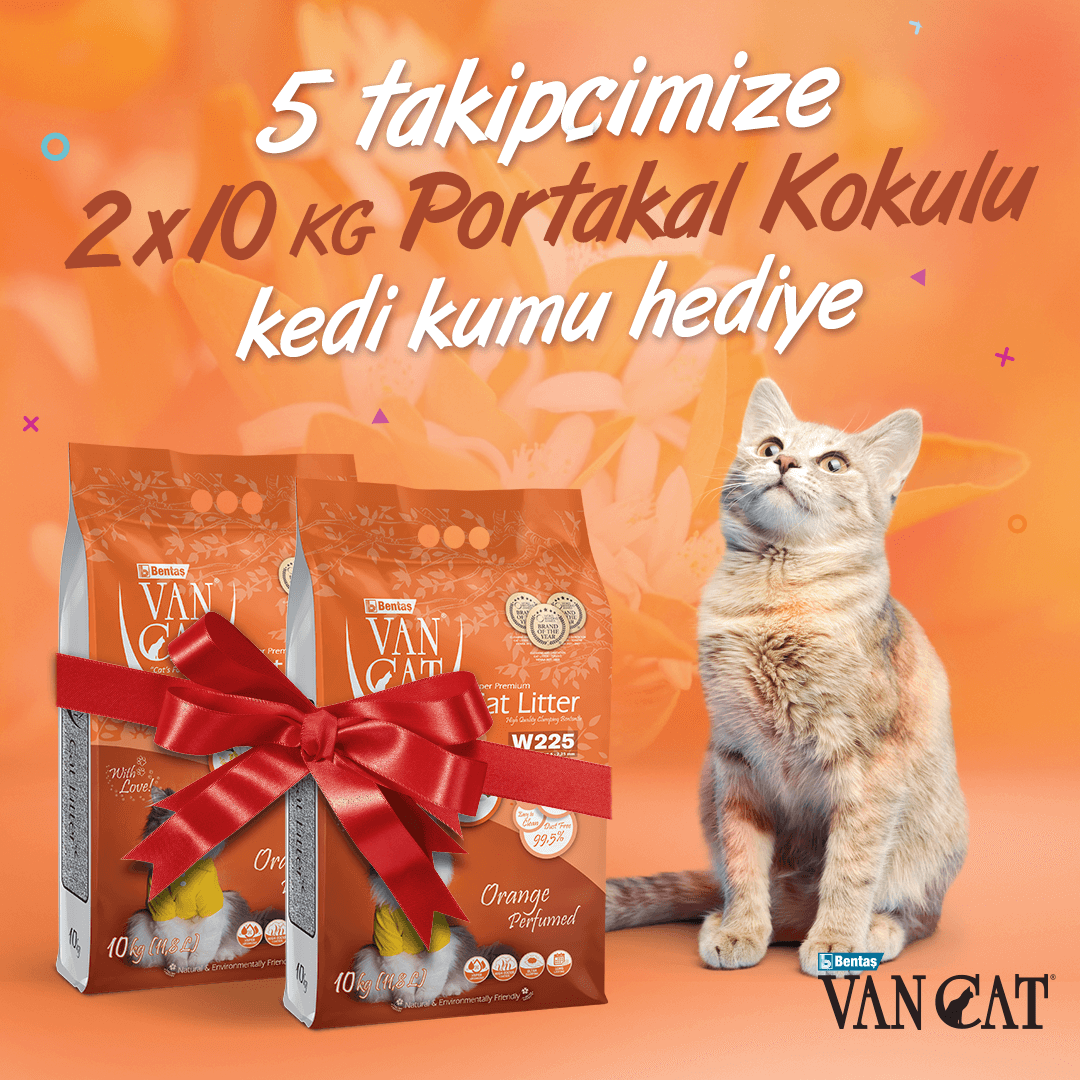 🎁 VanCat Aralık Kedi Kumu Çekilişi! 🎁

Çekilişimize katılmak için:
🐾 <a href="/VanCatTurkiye/">VanCat Türkiye</a> sayfamızı takip et,
🐾 Bu gönderiyi beğen ve repostla,
🐾 Bir arkadaşını yoruma etiketle!

5 takipçimize 2 x 10 kg VanCat Portakal Kokulu #KediKumu #Hediye! 😻

🛎 #Çekiliş sonuçları 20 Aralık!